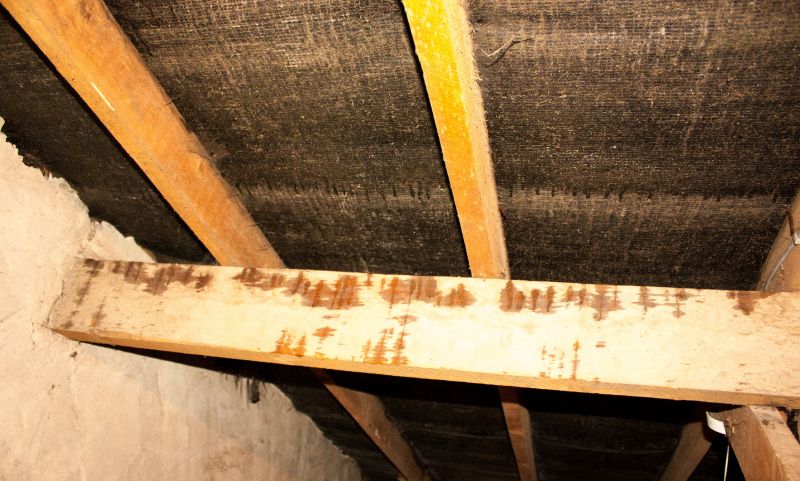 Crawl Space Remediation in Houston, TX